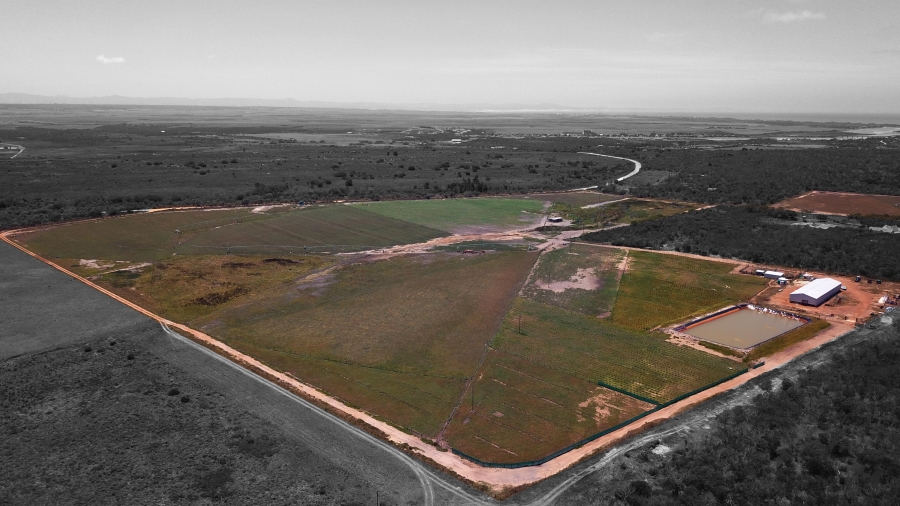 0 Bedroom Property for Sale in St Francis Bay Eastern Cape